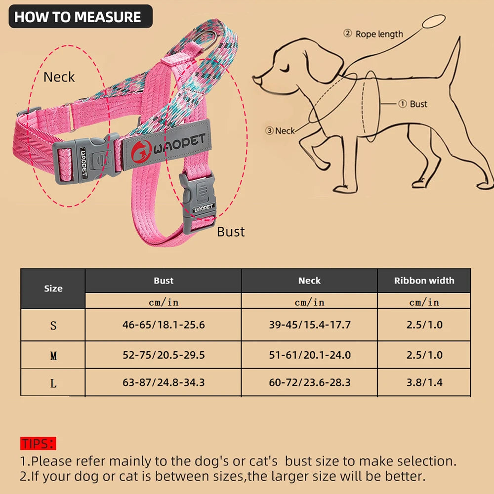 Bear LULU Summer Outdoor Baseball Cap – Breathable Sun Protection 🧢☀️