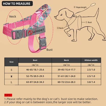 Bear LULU Summer Outdoor Baseball Cap – Breathable Sun Protection 🧢☀️